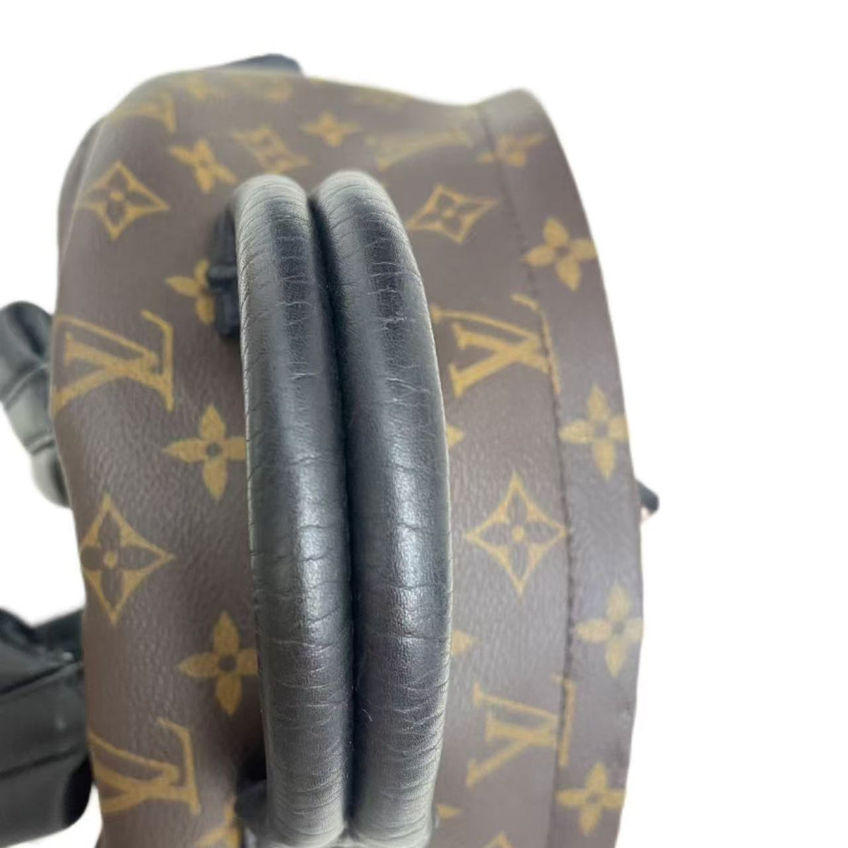 Louis Vuitton Monogram Palm Springs PM Backpack
