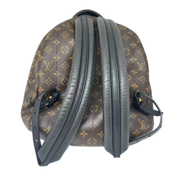 Louis Vuitton Monogram Palm Springs PM Backpack
