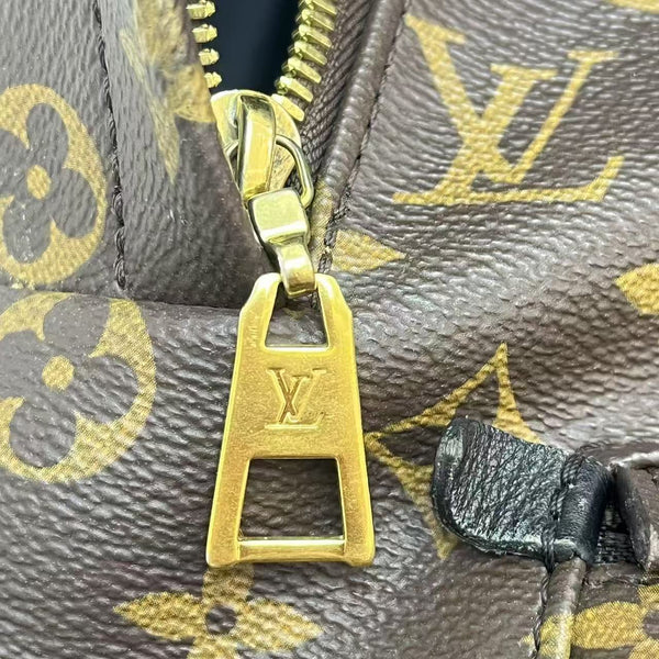 Louis Vuitton Monogram Palm Springs PM Backpack