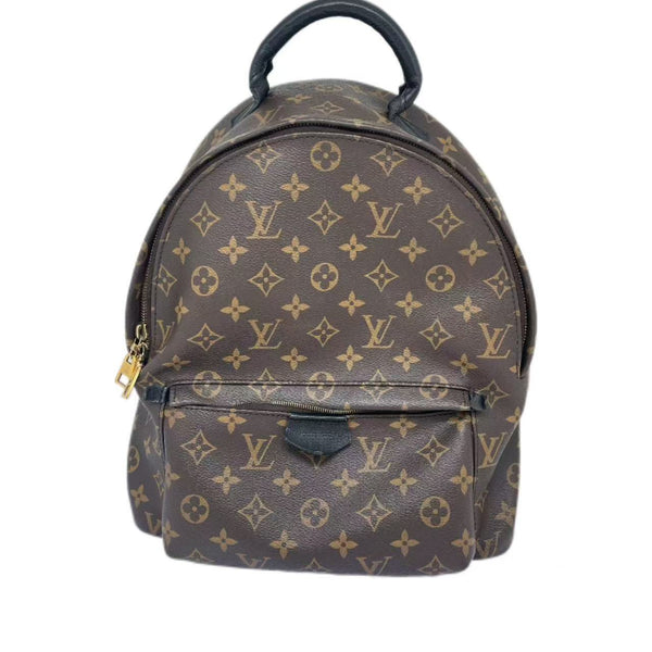 Louis Vuitton Monogram Palm Springs PM Backpack