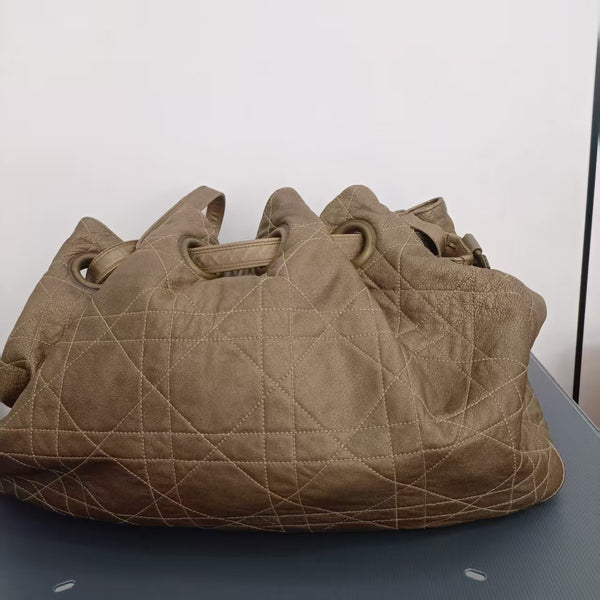 Dior tote bag