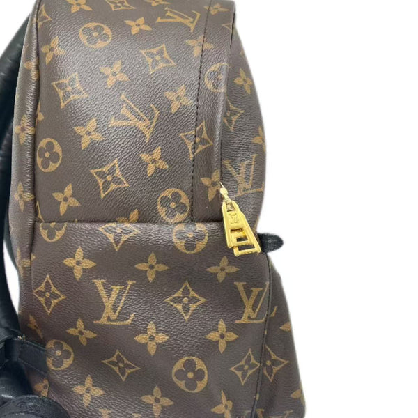 Louis Vuitton Monogram Palm Springs PM Backpack