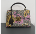Gucci bag