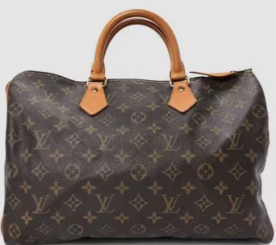 LOUIS VUITTON Monogram Speedy